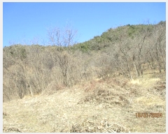  2023Ÿ��2116 ��� ��õ�� ȣ���� ���긮 ��3-1      ����(�Ӿ�)���