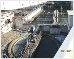  2023Ÿ��2116 ��� ��õ�� ȣ���� ���긮 ��3-1      ����(�Ӿ�)���