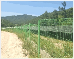  2023Ÿ72351  ֽ 𼭸 и 651-2      (Ӿ)