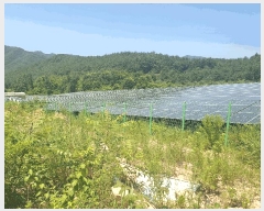  2023Ÿ72351  ֽ 𼭸 и 651-2      (Ӿ)