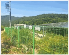  2023Ÿ72351  ֽ 𼭸 и 651-2      (Ӿ)