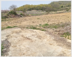  2023Ÿ��523  ����