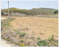  2023Ÿ��523  ����