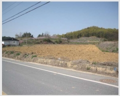  2023Ÿ��523  ����