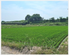  2023Ÿ��1069  ����