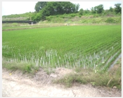  2023Ÿ��1069  ����