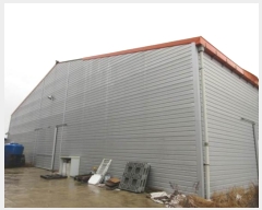  2023Ÿ1984  ֽ  Ȳ 8      