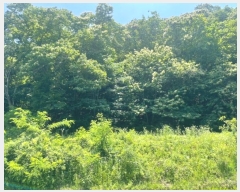  2023Ÿ��71167 ��� ��õ�� ������ ��Ÿ� 531-5      ����(��1)���