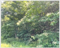  2023Ÿ��71167 ��� ��õ�� ������ ��Ÿ� 531-5      ����(��1)���