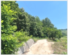  2023Ÿ��71167 ��� ��õ�� ������ ��Ÿ� 531-5      ����(��1)���