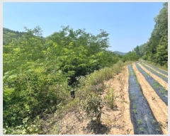  2023Ÿ��71167 ��� ��õ�� ������ ��Ÿ� 531-5      ����(��1)���