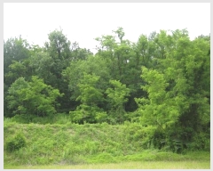  2023Ÿ��71167 ��� ��õ�� ������ ��Ÿ� 531-5      ����(��1)���