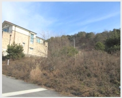  2023Ÿ��71945 ��� ��õ�� ȣ���� Ȳ���� 1050      ����(����)���