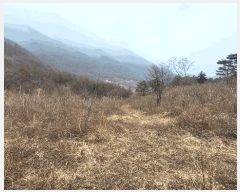  2023Ÿ73101   ϸ  865      (Ӿ)