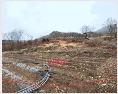  2023Ÿ73101   ϸ  865      (Ӿ)