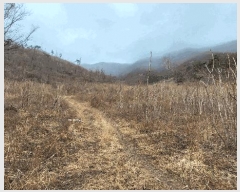  2023Ÿ73101   ϸ  865      (Ӿ)