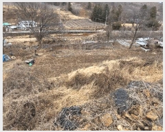  2023Ÿ73101   ϸ  865      (Ӿ)