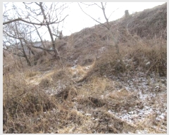  2023Ÿ73101   ϸ  865      (Ӿ)