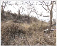  2023Ÿ73101   ϸ  865      (Ӿ)