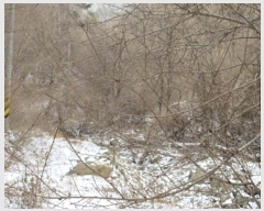  2023Ÿ73101   ϸ  865      (Ӿ)