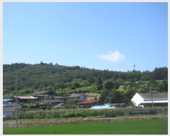  2023Ÿ366  Ǽ ̸ ȭ 8-1      (Ӿ)