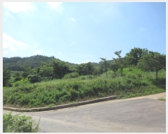  2023Ÿ366  Ǽ ̸ ȭ 8-1      (Ӿ)