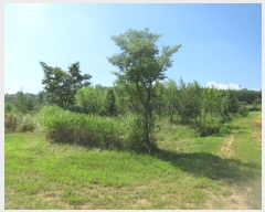  2023Ÿ366  Ǽ ̸ ȭ 8-1      (Ӿ)