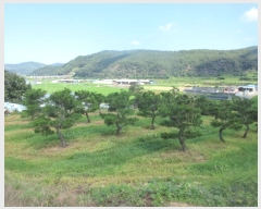  2023Ÿ366  Ǽ ̸ ȭ 8-1      (Ӿ)