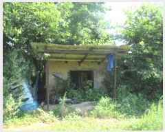  2023Ÿ366  Ǽ ̸ ȭ 8-1      (Ӿ)