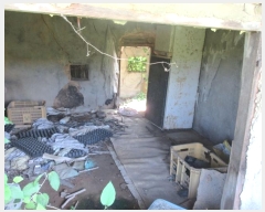  2023Ÿ366  Ǽ ̸ ȭ 8-1      (Ӿ)