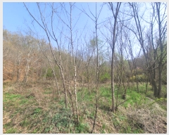  2023Ÿ��10479 ��� �Ǽ��� ���� ������ 1028      ����(��1)���