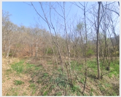  2023Ÿ��10479 ��� �Ǽ��� ���� ������ 1028      ����(��1)���