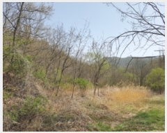  2023Ÿ��10479 ��� �Ǽ��� ���� ������ 1028      ����(��1)���