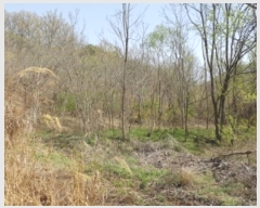  2023Ÿ��10479 ��� �Ǽ��� ���� ������ 1028      ����(��1)���