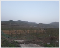  2023Ÿ��10509 ��� �Ǽ��� ����� ������ 137      ����(������)���