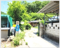  2023Ÿ��10707 ��� �Ǽ��� ������ ��ȣ�� 242      ����(����)���