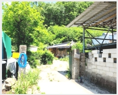  2023Ÿ��10707 ��� �Ǽ��� ������ ��ȣ�� 242      ����(����)���