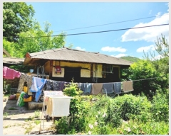  2023Ÿ��10707 ��� �Ǽ��� ������ ��ȣ�� 242      ����(����)���