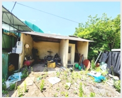  2023Ÿ��10707 ��� �Ǽ��� ������ ��ȣ�� 242      ����(����)���