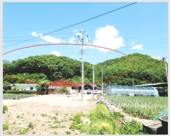  2023Ÿ��10707 ��� �Ǽ��� ������ ��ȣ�� 242      ����(����)���