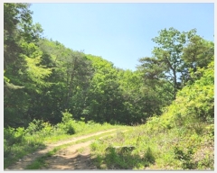  2023Ÿ10721 뱸  Һ ȣ 45-1      (Ӿ)