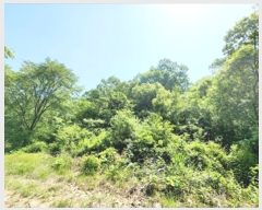  2023Ÿ10721 뱸  Һ ȣ 45-1      (Ӿ)