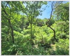  2023Ÿ10721 뱸  Һ ȣ 45-1      (Ӿ)