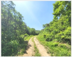  2023Ÿ10721 뱸  Һ ȣ 45-1      (Ӿ)