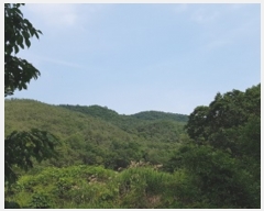  2023Ÿ10721 뱸  Һ ȣ 45-1      (Ӿ)