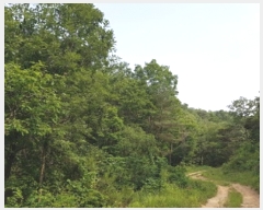  2023Ÿ10721 뱸  Һ ȣ 45-1      (Ӿ)