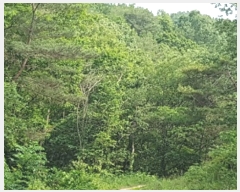  2023Ÿ10721 뱸  Һ ȣ 45-1      (Ӿ)