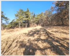  2023Ÿ��10004 �뱸 ������ ȿ�ɸ� ��� 34      ����(��1)���