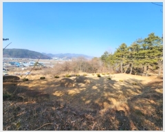  2023Ÿ��10004 �뱸 ������ ȿ�ɸ� ��� 34      ����(��1)���