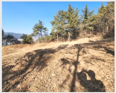  2023Ÿ��10004 �뱸 ������ ȿ�ɸ� ��� 34      ����(��1)���